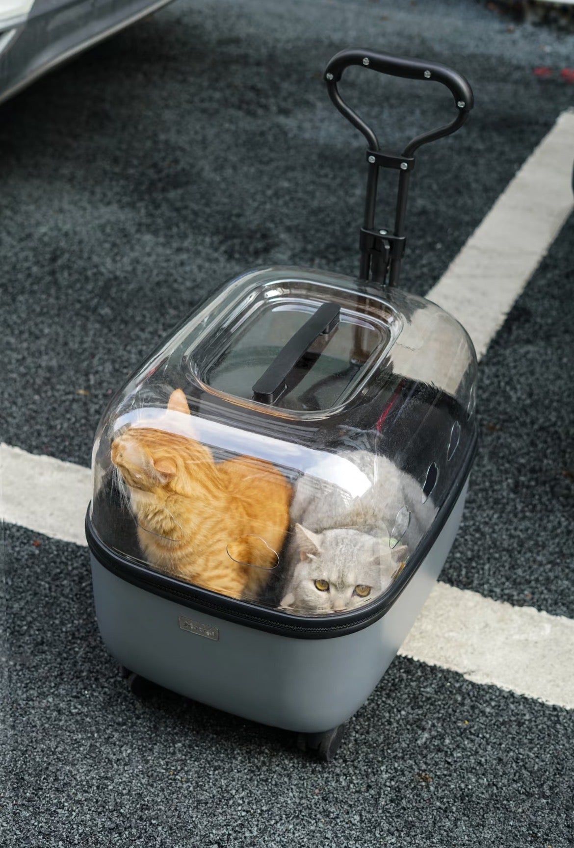 "Minimalist Pet Mobility Pod | 🪐 Curated for Modern Aesthetics🏙️ For City-Savvy Pet Parents